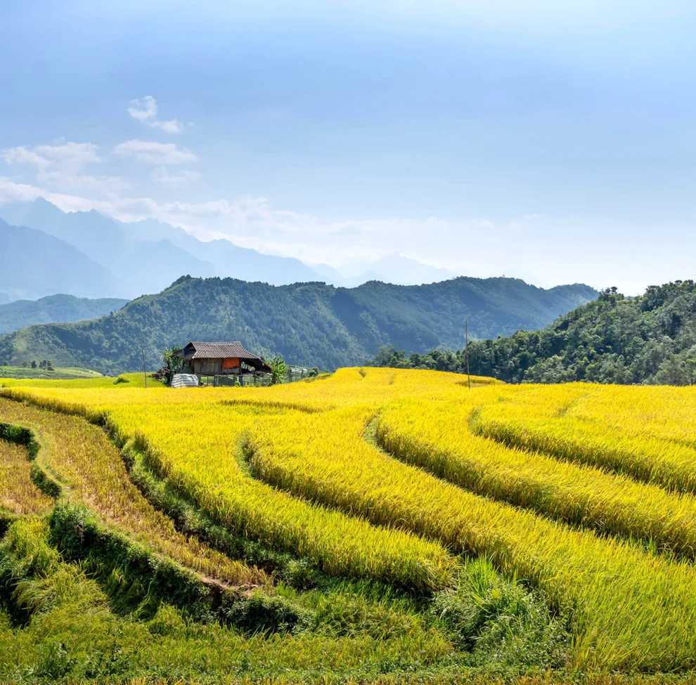 Yılların tecrübesiyle en iyi ürünleri
tedarik ediyoruz.