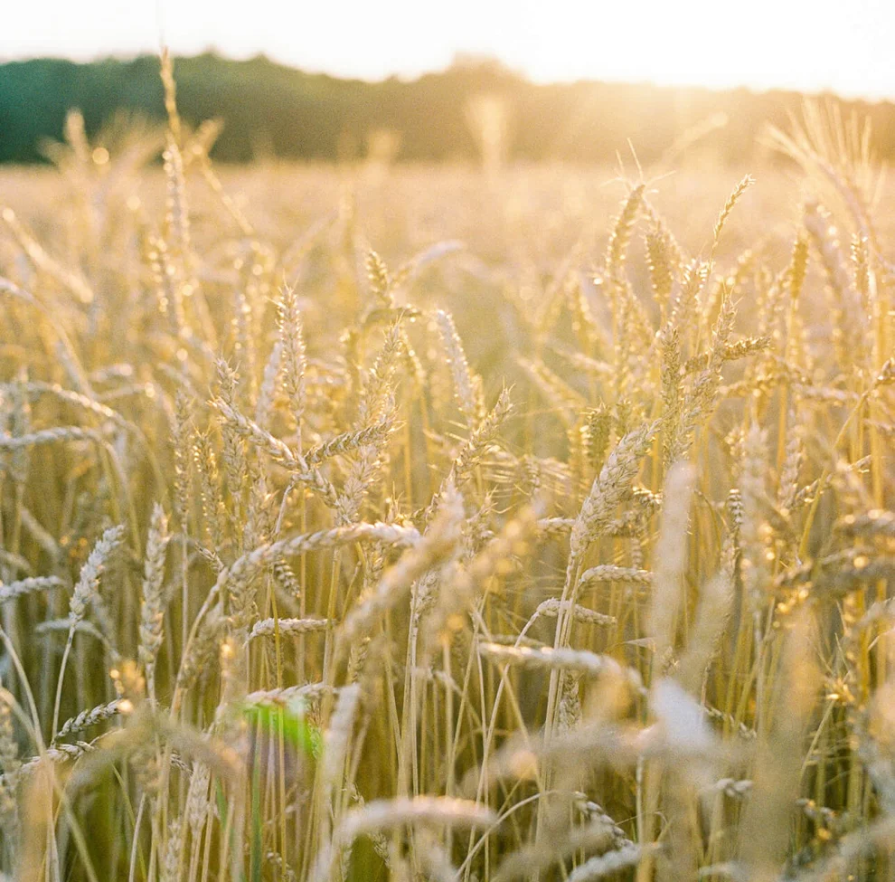 Bugünlere bizi
taşıyan
değerlerimiz.