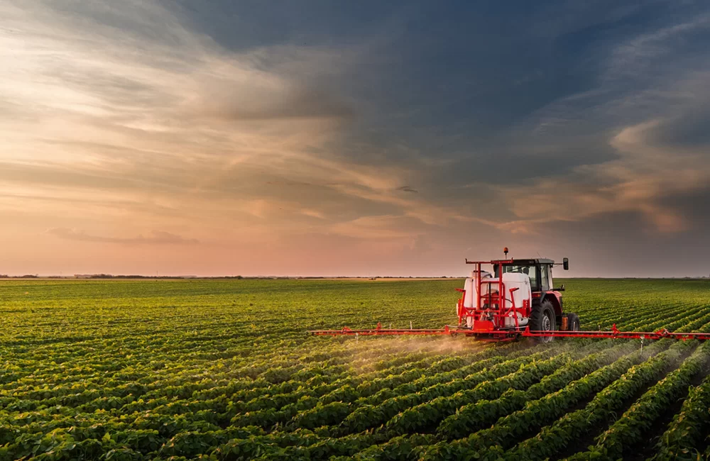 Bereketli Topraklardan Dünya’nın Her Yerine
