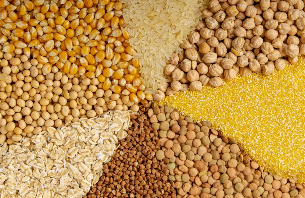 Topraktan Sofralara Kusursuz Doğal Lezzetler